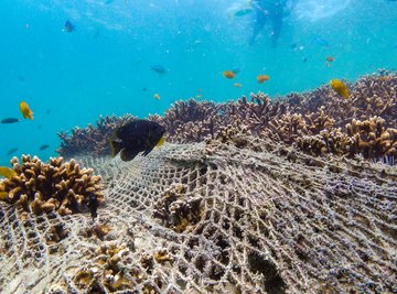 habitat destruction ocean