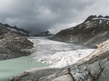 Animals That Live on Glaciers and Icebergs