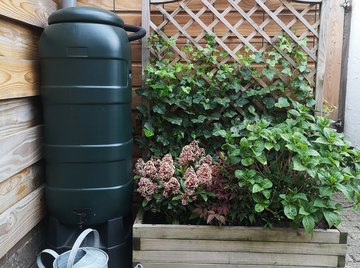 How to Prevent Algae in Rain Barrels