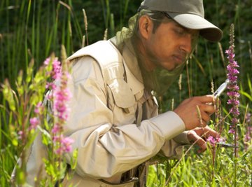 Botanists study all forms of plant life.