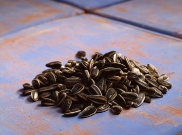 Sunflower seeds are a healthy food for wild birds.