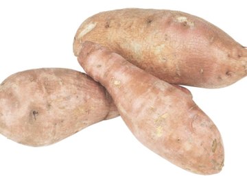 Plants store starch in tubers, such as sweet potatoes.