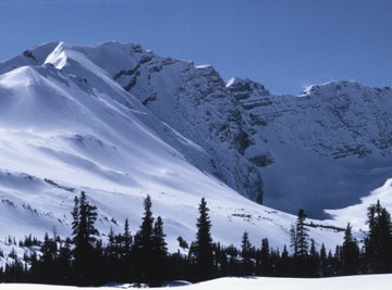 Timberline, the boundry trees won't cross