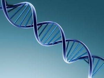 How Does DNA & RNA Differ?