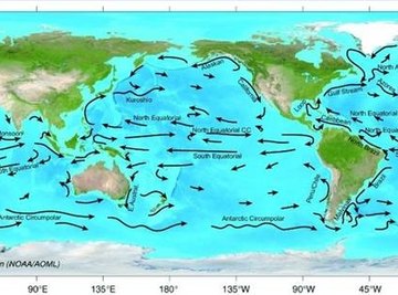 What Are Surface Currents Caused By?