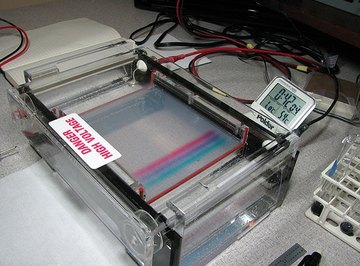 Gel Electrophoresis Chamber