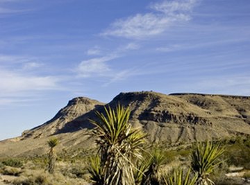 The California desert has wind, solar and geothermal resources.