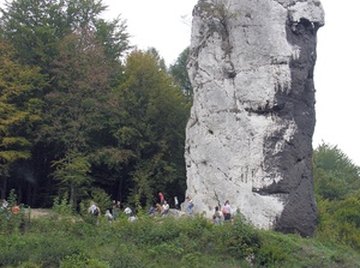 Limestone is one of the best stones for finding fossils.