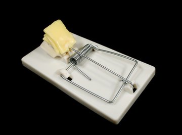 Mousetrap Car Kits, The Big Cheese