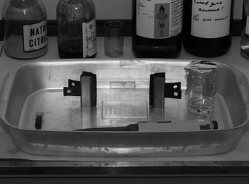 SDS-PAGE electrophoresis gel