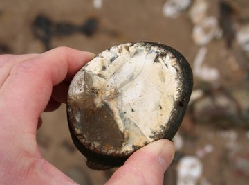 The craft of flint knapping got its name from flint stone, also known as chert.