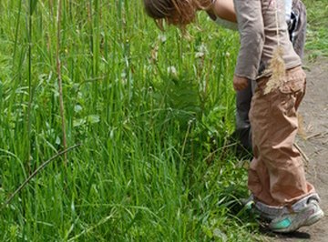 An outdoor classroom can be any designated open-air area beyond the indoor school room.