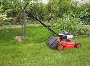 Garden clippings are a source of organic matter.