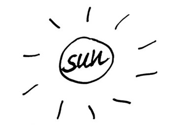 Plants make their food from the sun.