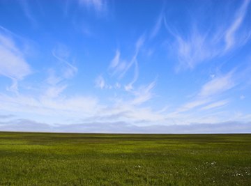 What Is the Landscape of the Tundra?