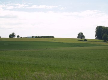 Features of Temperate Grasslands