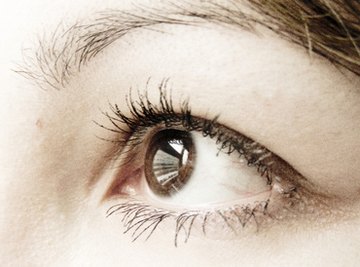 Brown is the most common eye color worldwide.