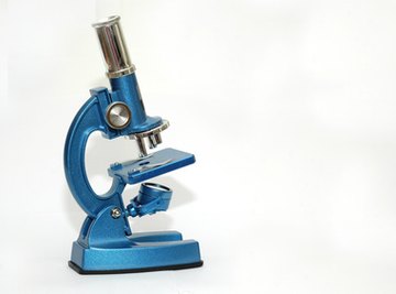 Compound microscopes utilize two lenses to magnify images.