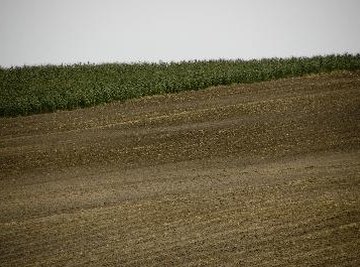 Fertile soil consists of sand, silt, clay and organic material.