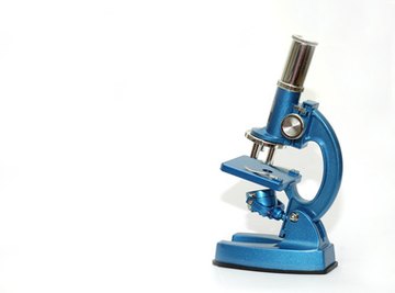 A compound microscope is one of the more well-known types.