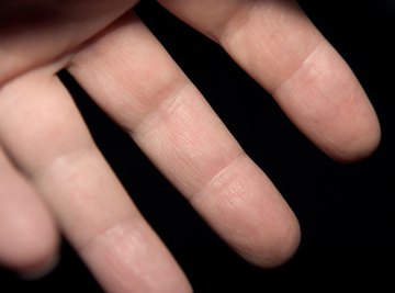 The fingers have high sensitivity to tactile stimulation.