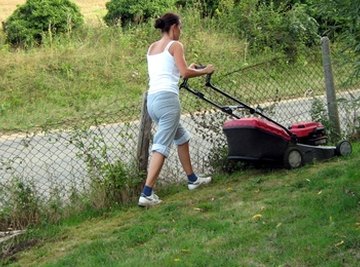 The Subaru-Robin engine is used in several devices, such as mowers.