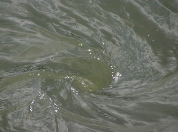 A small whirlpool in a lake