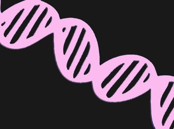 DNA strand of A-T and G-C base pairs