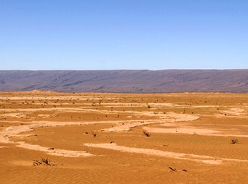 Living in the desert means extra water conservation