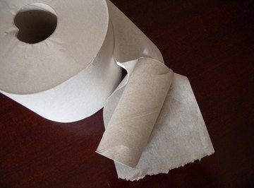 Transform empty toilet paper rolls into a cool science craft.
