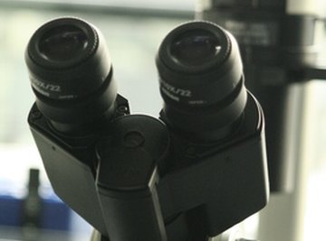 Microscopes enable us to see a world beyond our normal range of sight.