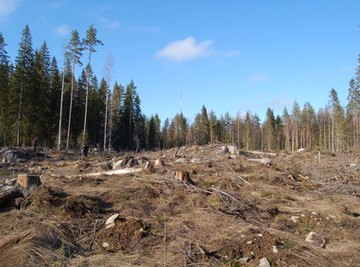 Logging contributes to soil degradation in the form of erosion.