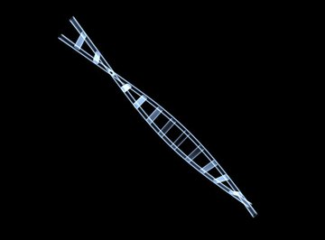 Double helix structure of DNA