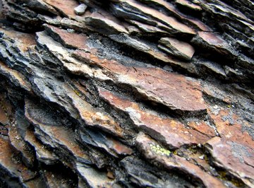 Shale shows how muddy sediments are deposited in layers.