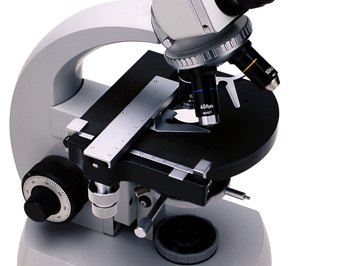 Binocular compound microscopes have two ocular lenses.