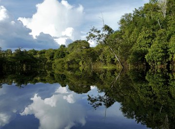 Reflective Amazon river in Brazil