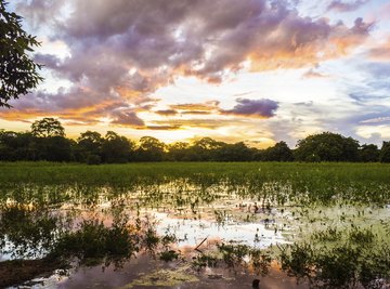 Bodies of Water in the Grasslands