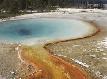 Acidophilic bacteria make colorful patches in Yellowstone National Park's thermal features.