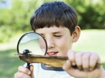 How Do Magnifying Glasses Work?