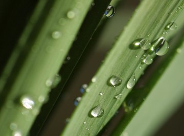 Water condenses out of the air when the temperature reaches the dew point.