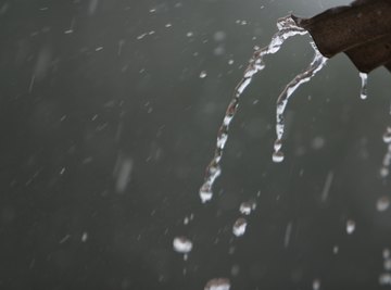 Rain barrels can collect hundreds of gallons of water for you to use in your garden.