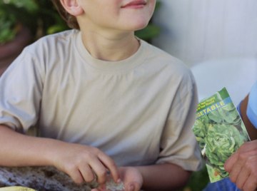 Chemical-free produce starts with seeds.