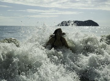 The ocean ecosystem includes all water, rocks, sand, and creatures in it.