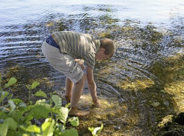 Solved The mean amount of dissolved oxygen in a stream is