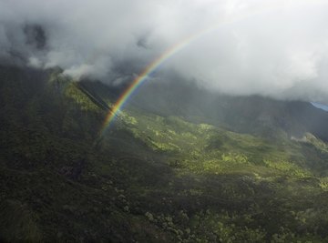 Rainforest winds are fastest above the canopy.