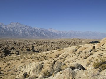 Deserts are homes to different types of fungi.