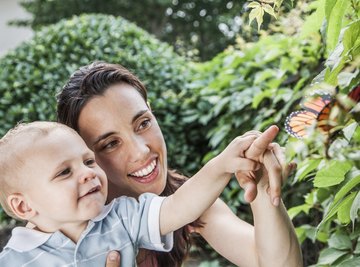 Beautiful butterflies look nothing like the caterpillars they once were.