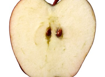 Oxidation is the reason why apple slices   turn brown.