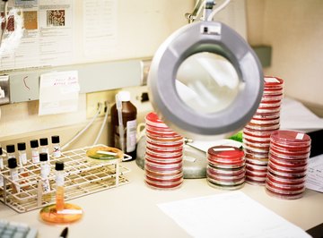 The crowded plate technique has sometimes proved useful for identifying antibiotics.