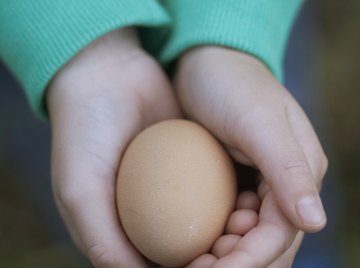 Salt increases the density of water, allowing an egg to float.
